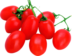 Tomatoes PNG-12552